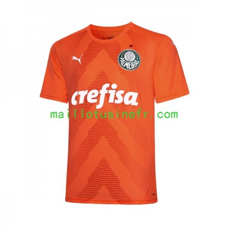 Maillot de Foot Palmeiras Gardien Troisième 2022-23 Maillot de Foot Palmeiras Gardien Troisième 2022-23